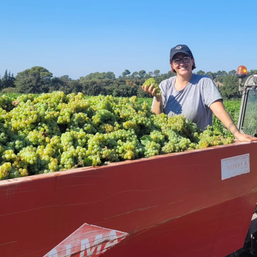 The point card a new tool for elevating wine quality