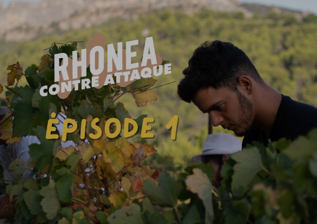 Episode 1: Rhonéa Strikes Back - Fabien, Artisan Winegrower, challenges misconce