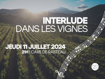Interlude in the Vineyards - July 11th