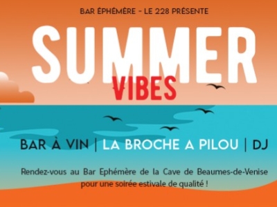 Summer Vibes - Le bar éphémère Le 228