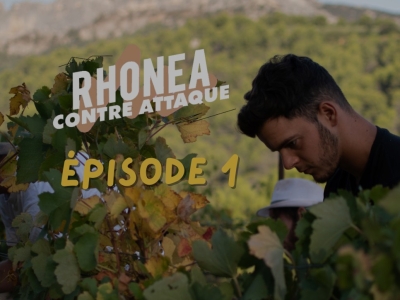 Episode 1: Rhonéa Strikes Back - Fabien, Artisan Winegrower, challenges misconce